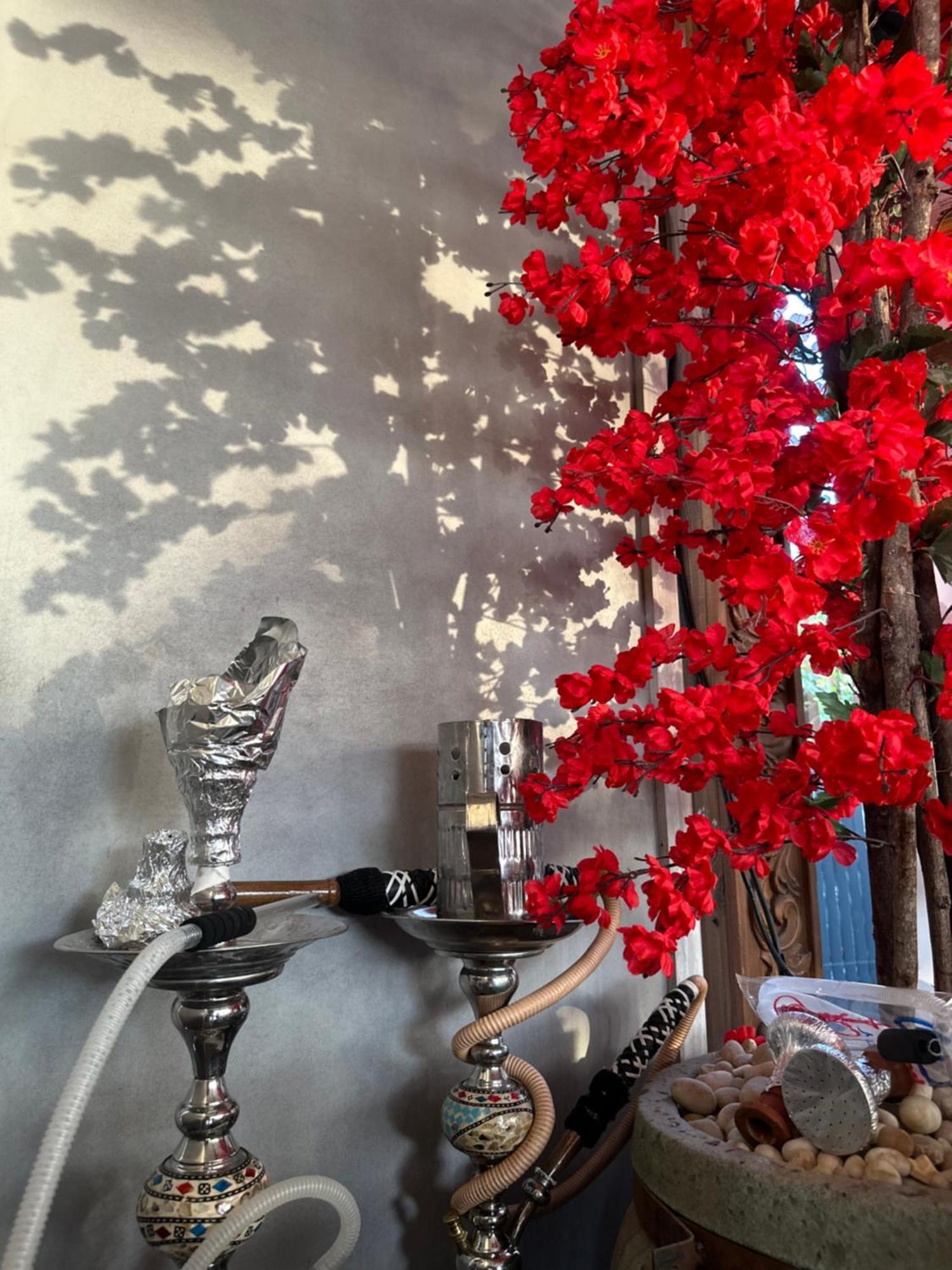 Modern 1-Bedroom Apartment In Zamalek Visits Allowed Каїр Екстер'єр фото