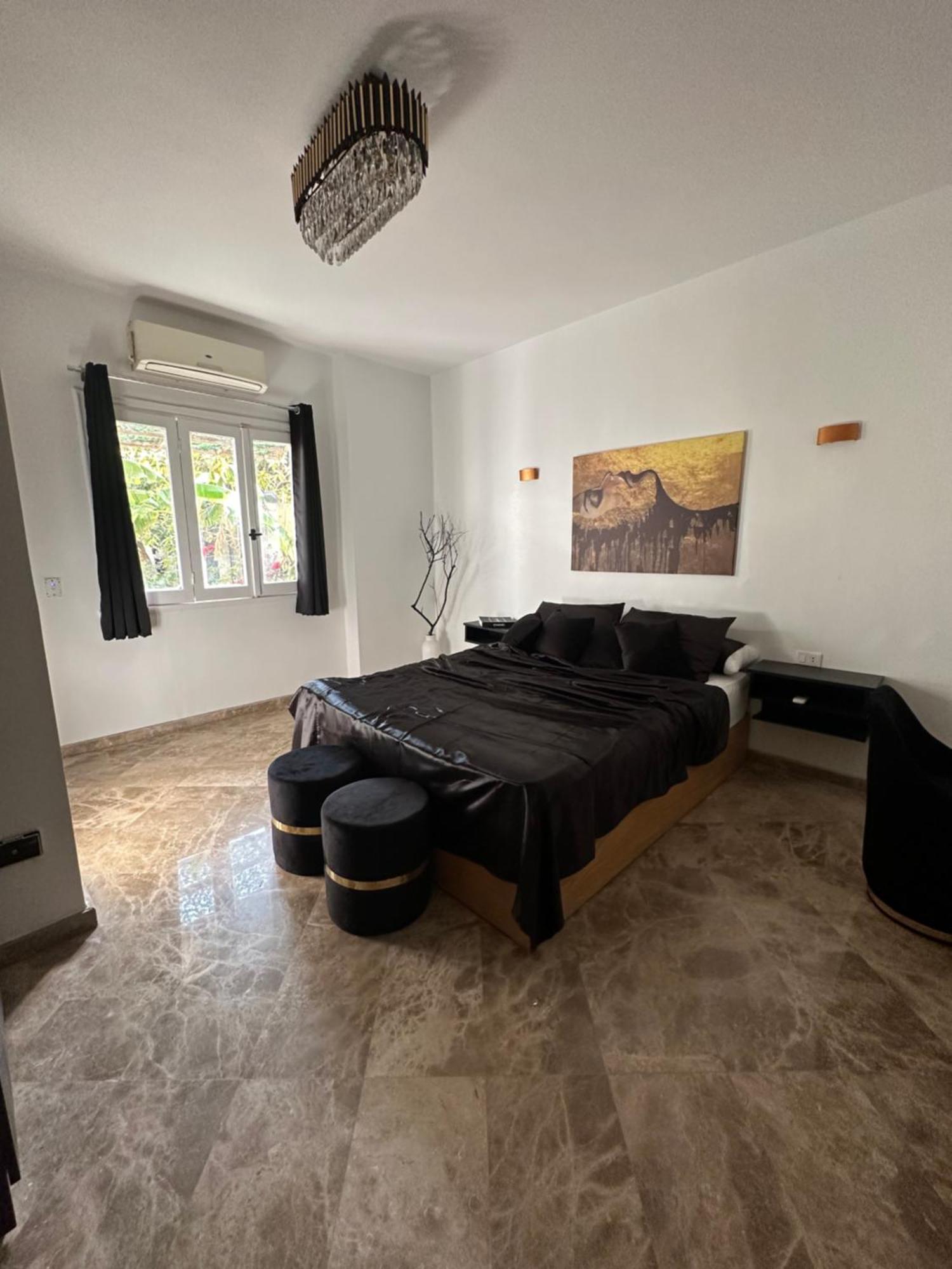 Modern 1-Bedroom Apartment In Zamalek Visits Allowed Каїр Екстер'єр фото