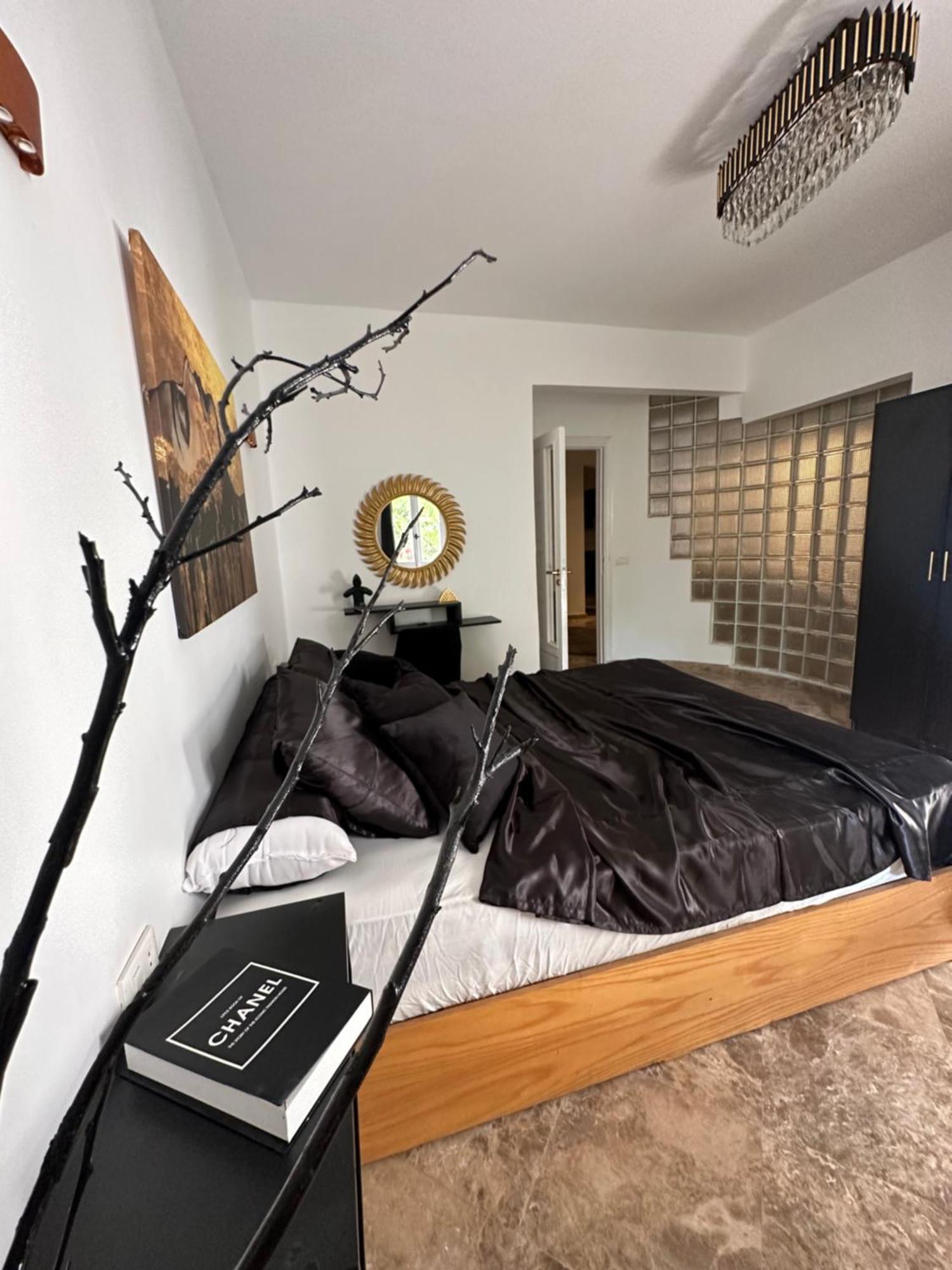 Modern 1-Bedroom Apartment In Zamalek Visits Allowed Каїр Екстер'єр фото