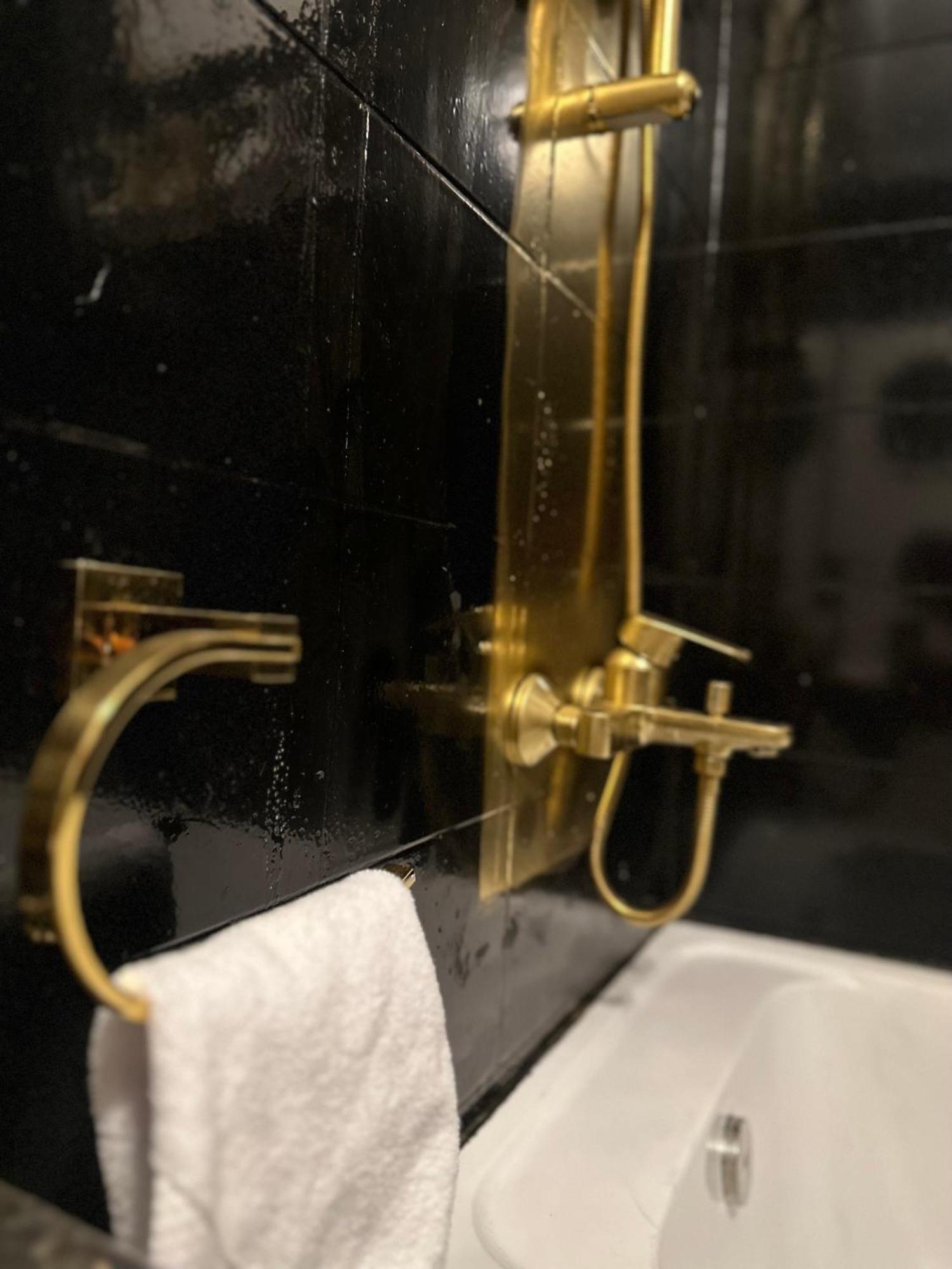 Modern 1-Bedroom Apartment In Zamalek Visits Allowed Каїр Екстер'єр фото